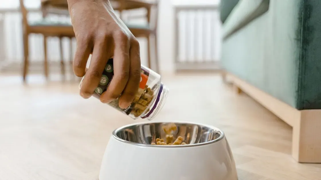 Närbild på omega-3 kapslar