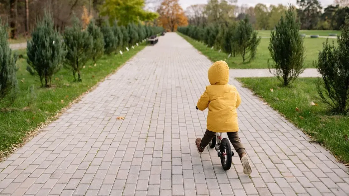 Närbild på cykelkorgen