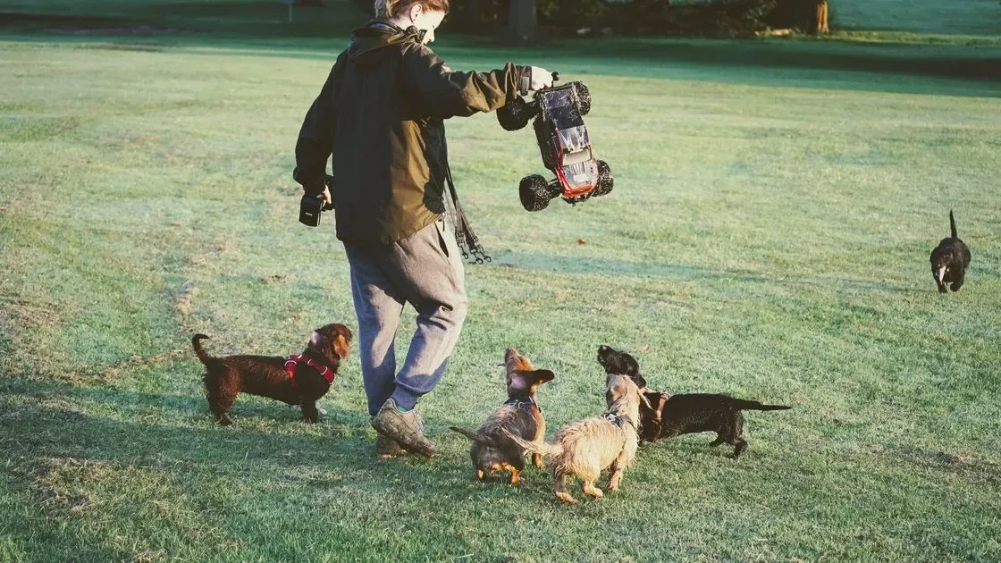 Hund som leker med interaktiv leksak