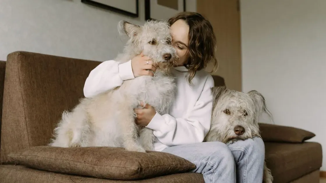 Hund äter tillskott hemma